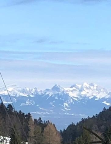 Entire Cozy Chalet In St-Cergue - 30 Min From Geneva Saint-Cergue Exterior foto