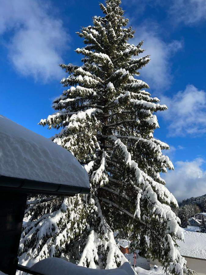 Entire Cozy Chalet In St-Cergue - 30 Min From Geneva Saint-Cergue Exterior foto